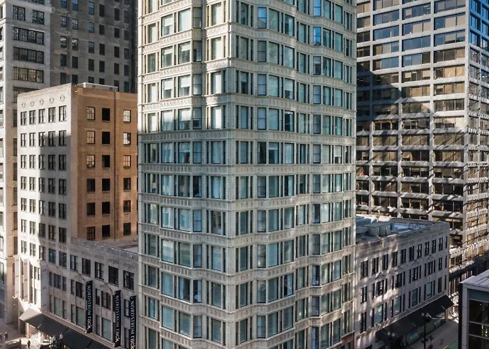 Staypineapple, An Iconic , The Loop